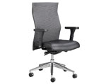 Executive Chairs